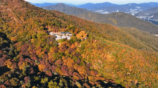 가을 산에 자리한 전통 한국 사찰