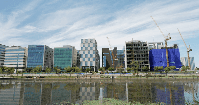 호수가의 현대적인 건물들과 건설 크레인들