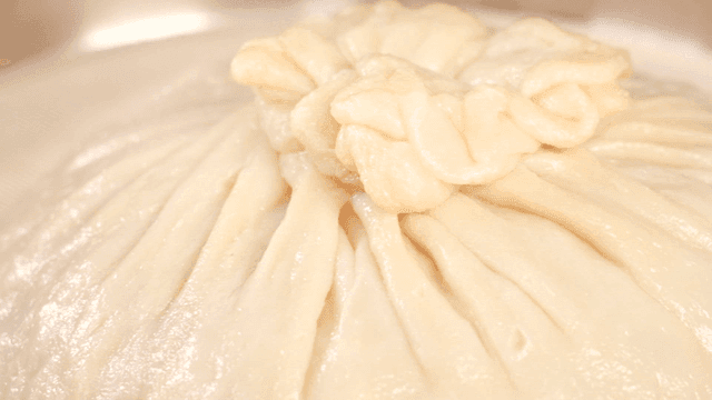 Large dumplings on tray