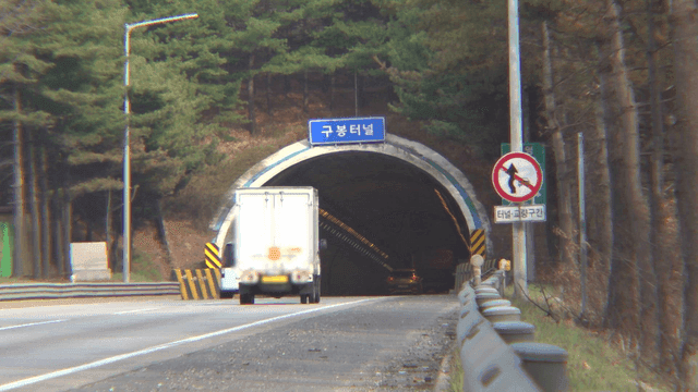 Tunnel entrance between trees