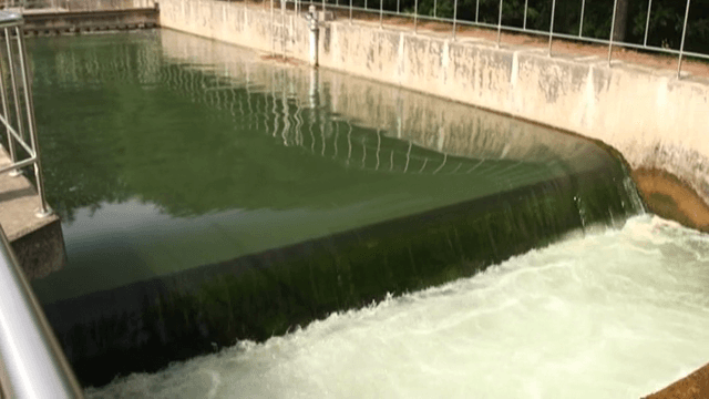 녹색 물이 있는 정수 시설