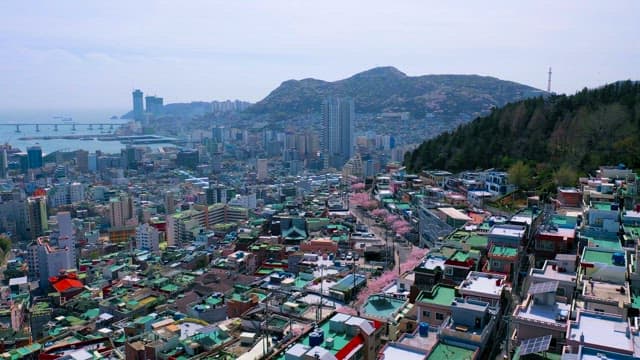 Dense Cityscape on a Sunny Spring Day