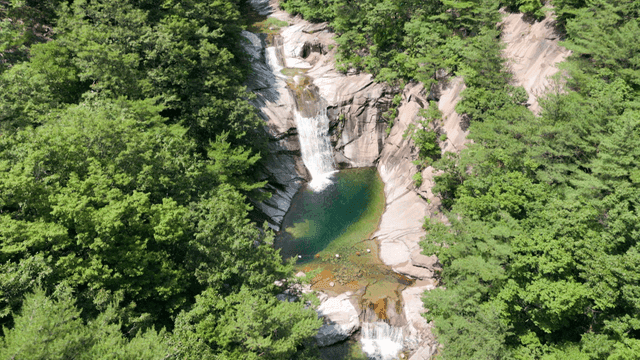Serene waterfall surrounded by lush forest