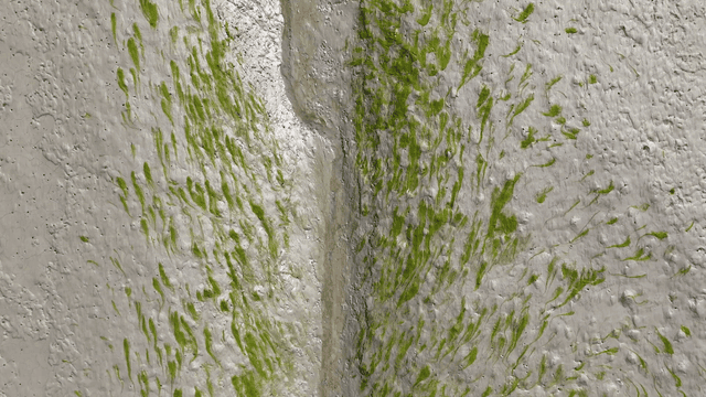 Aerial view of a mudflat with green algae