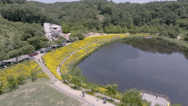 노란 꽃으로 둘러싸인 경치 좋은 호수