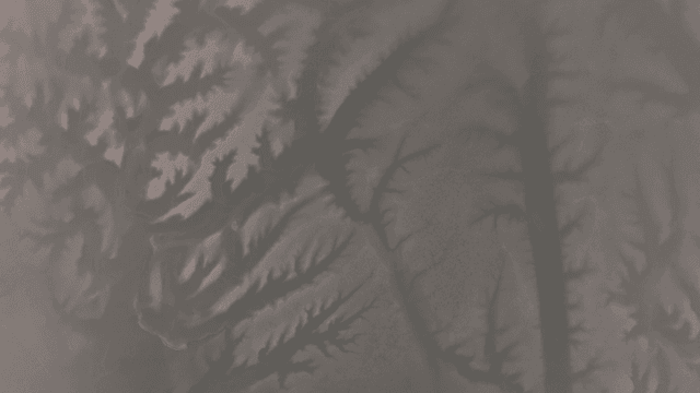 모래 해변의 복잡한 패턴