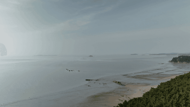 Tranquil coastal mudflat landscape with distant island in view