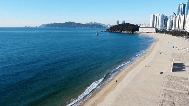 Tranquil beach with view of city skyline