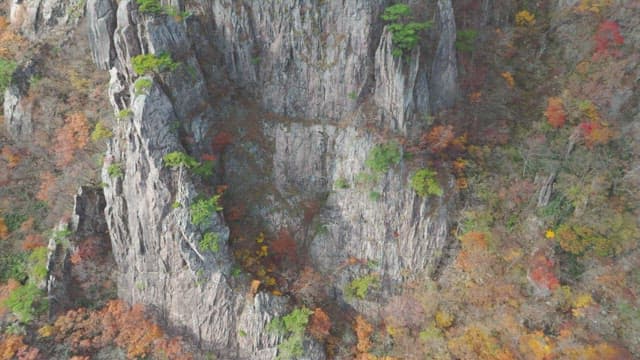 가을 단풍이 물든 웅장한 산