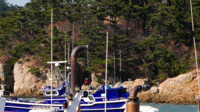 Boats docked by a rocky shore with forest