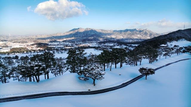 Snow-covered landscape with mountain backdrop