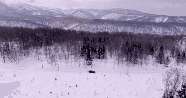 눈 덮인 숲을 달리는 자동차