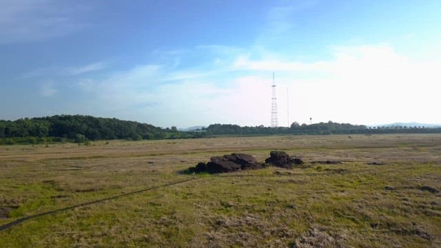 넓은 들판을 가로지르는 나무 길