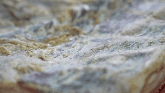 Close-up of aged meat with mold