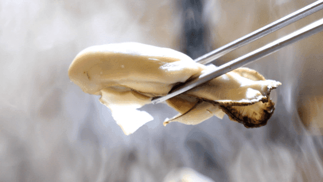Picture of someone picking up freshly steamed oysters with chopsticks
