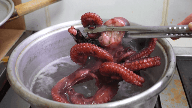 Tongs to lift boiled octopus out of pot