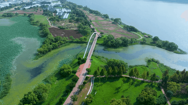 푸른 강 위의 아름다운 다리