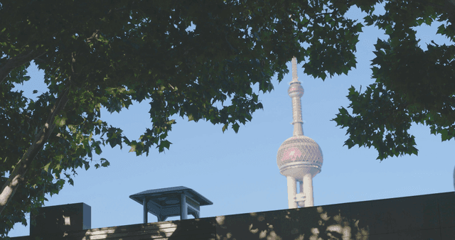 City tower visible through tree branches