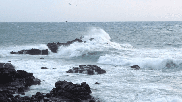 Waves crashing against rocky shore