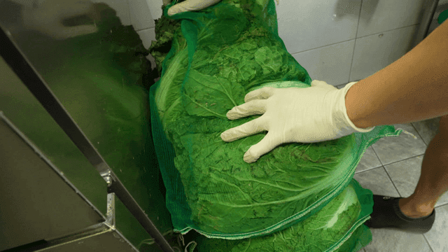 녹색 망에 담겨 주방에 쌓인 신선한 배추