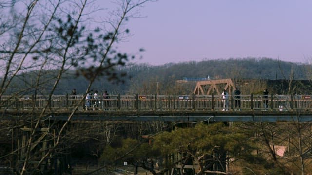 People Walking on a Wooden Bridge in a Park