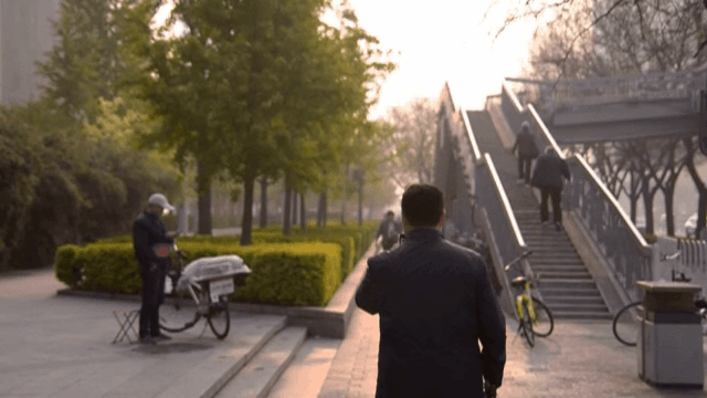 나무와 계단이 있는 아침 산책