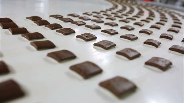 Rows of chocolates on a factory conveyor