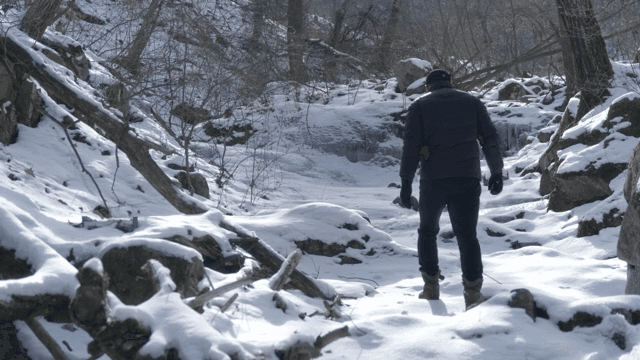 눈 덮인 숲을 걷는 사람