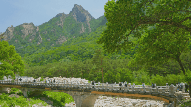 산을 배경으로 한 경치 좋은 다리를 건너는 사람들
