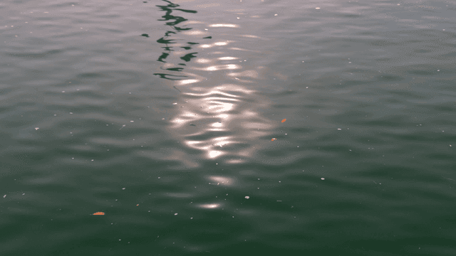 Sunlight reflecting on rippling water