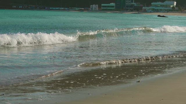 모래 해변에 밀려오는 바다의 부드러운 파도