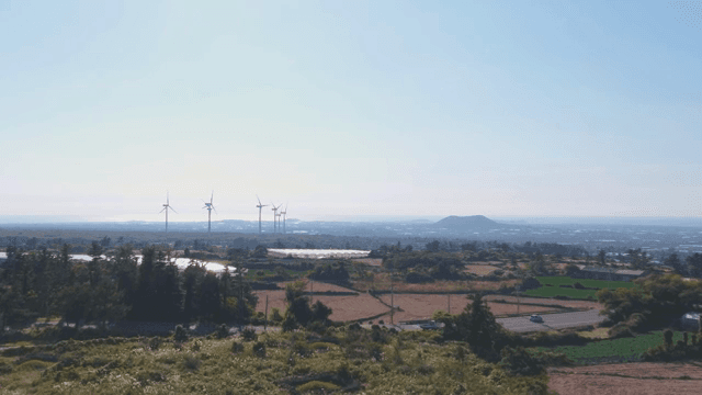 Wind turbines in a vast rural landscape