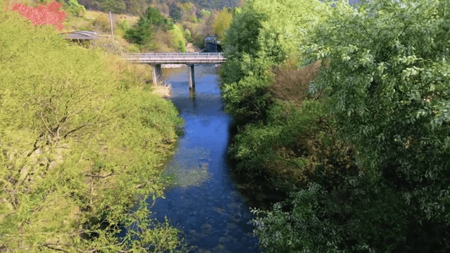 다리 아래로 흐르는 고요한 강