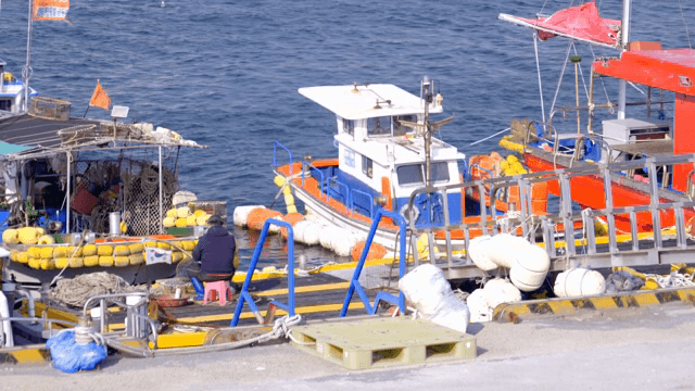 Fishing boats docked at a harbor