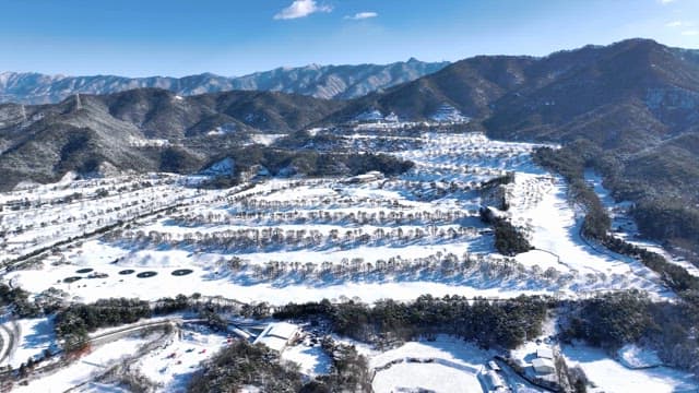 Snow-Covered Landscape with Trees and Mountains