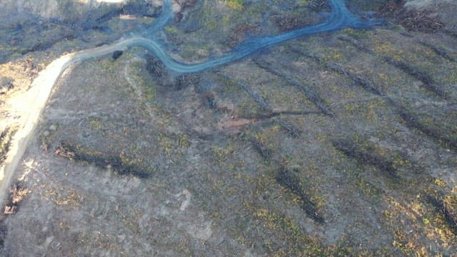 산악 지형의 굽이치는 도로