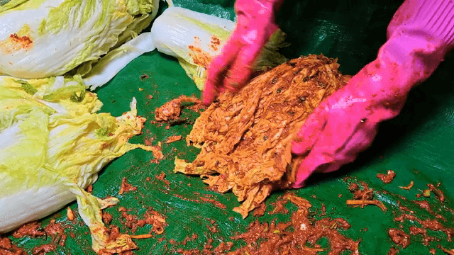 Kimchi being prepared with cabbage and spices