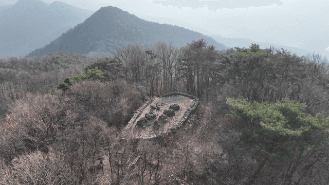 Forest with piles of stones