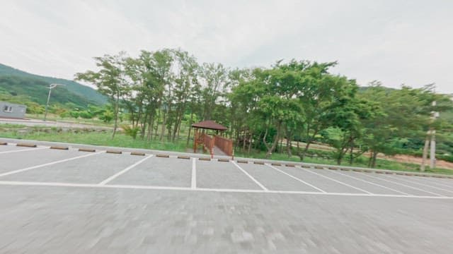 푸른 녹음이 우거진 공원