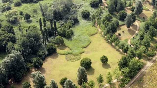 Aerial view of a lush green park with trees