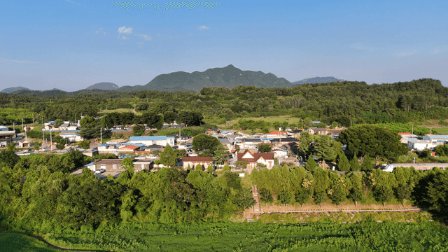 Rural village surrounded by green forest.