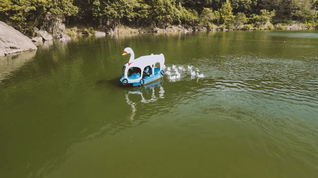 고요한 호수 위의 오리 모양 보트