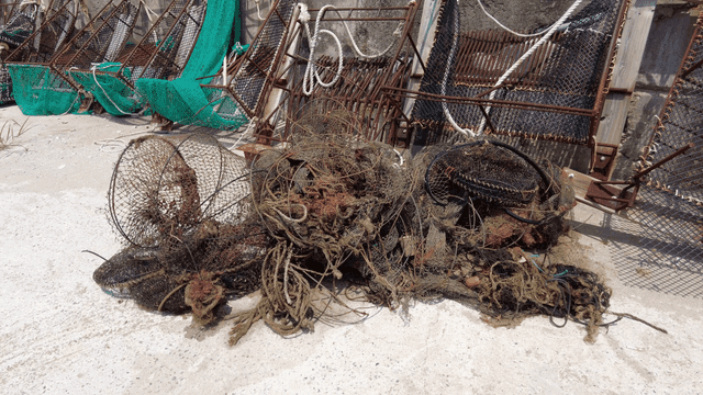 Fishing nets and traps on a sunny day