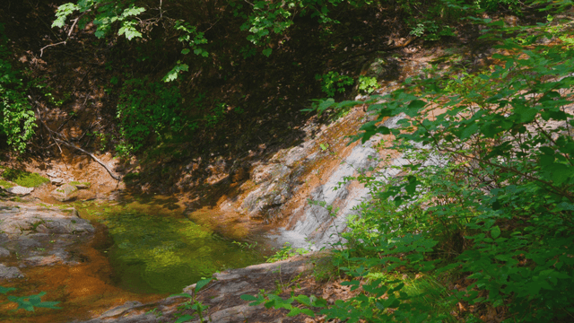 푸른 숲 속의 가파른 계곡물