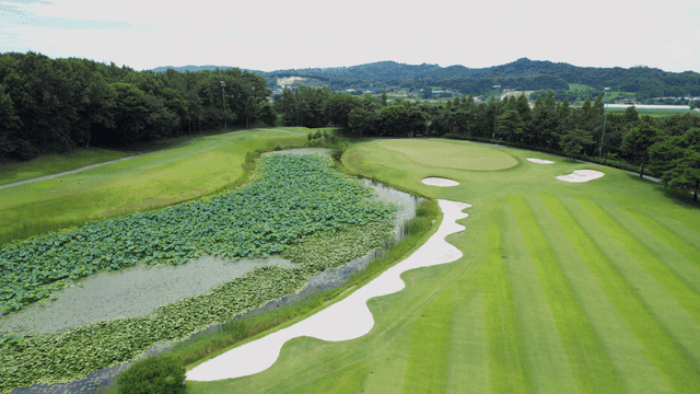Lush golf course with a pond and trees