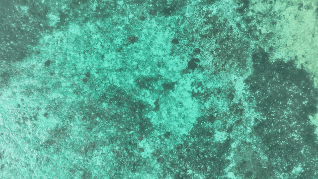 Aerial view of ocean with vibrant coral reefs