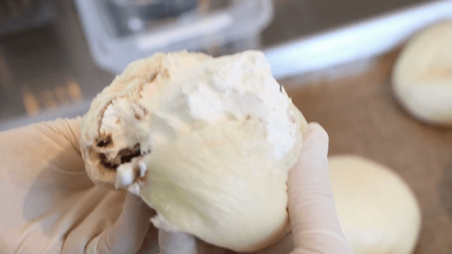 크림이 들어간 빵 준비 중