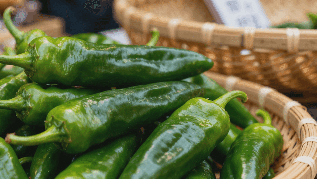 바구니에 담긴 신선한 풋고추