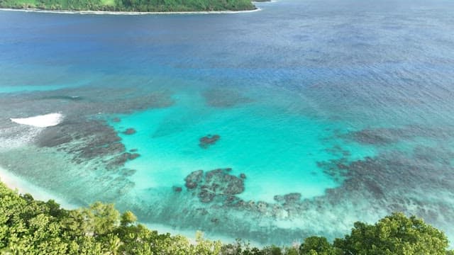 Clear blue sea with a view of the rainforest and beach on a sunny day