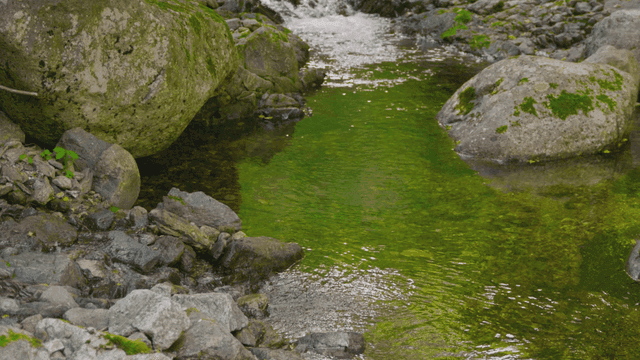 Clear stream flowing between moss-covered rocks
